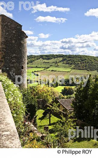 VILLAGE FORTIFIE DE CORDES SUR CIEL, VALLEE DU CEROU, TARN. (81F02333.jpg)