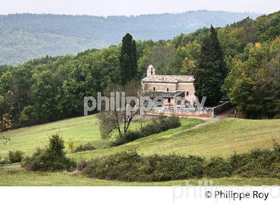 CHAPELLE DE MESPEL, FORET DE GRESIGNE, LARROQUE, TARN. (81F02434.jpg)