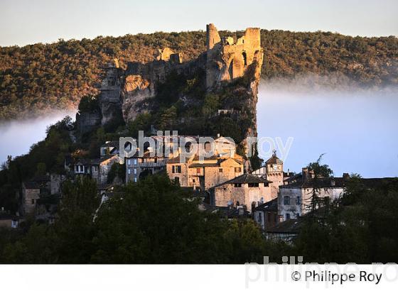 VILLAGE FORTIFIE DE PENNE, VALLEE DE L' AVEYRON, TARN. (81F02507.jpg)