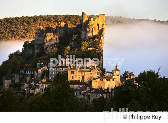 VILLAGE FORTIFIE DE PENNE, VALLEE DE L' AVEYRON, TARN. (81F02508.jpg)