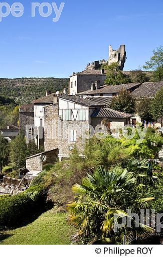 VILLAGE FORTIFIE DE PENNE, VALLEE DE L' AVEYRON, TARN. (81F02520.jpg)