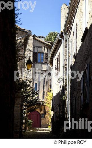 VILLAGE FORTIFIE DE PENNE, VALLEE DE L' AVEYRON, TARN. (81F02525.jpg)