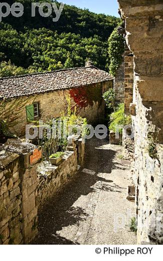 VILLAGE FORTIFIE DE PENNE, VALLEE DE L' AVEYRON, TARN. (81F02528.jpg)