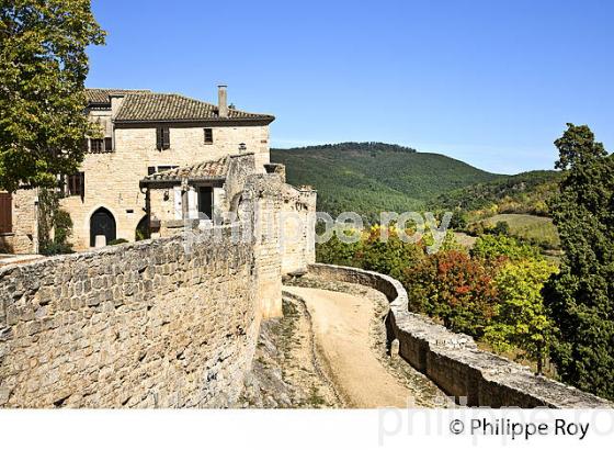 REMPART DU VILLAGE FORTIFIE DE PUYCELSI, VALLEE DE LA VERE, TARN. (81F02713.jpg)
