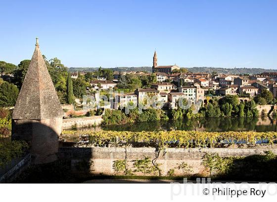 JARDINS DU PALAIS DE LA BERBIE, CITE EPISCOPALE ,  ALBI, TARN. (81F02819.jpg)