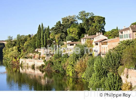 LE TARN ET LE QUARTIER DE LA MADELEINE,  ALBI, TARN. (81F03120.jpg)