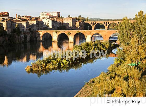 PONT SUR LE TARN ET LE QUARTIER DE LA MADELEINE,  ALBI, TARN. (81F03127.jpg)