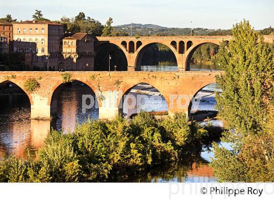 PONT VIEUX  SUR LE TARN ,  ALBI, TARN. (81F03129.jpg)