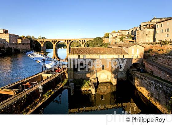 PONT SUR LE TARN ,  ALBI, TARN. (81F03136.jpg)