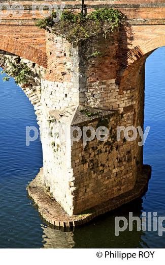 PONT VIEUX  SUR LE TARN ,  ALBI, TARN. (81F03204.jpg)