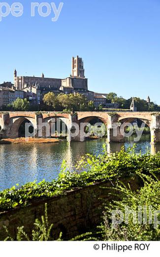 PONT VIEUX  SUR LE TARN , LA CATHEDRALE ET LA VILLE D'  ALBI, TARN. (81F03210.jpg)