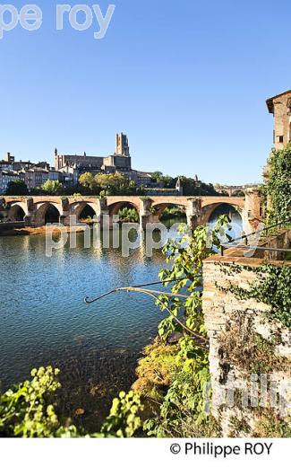 PONT VIEUX  SUR LE TARN , LA CATHEDRALE ET LA VILLE D'  ALBI, TARN. (81F03211.jpg)