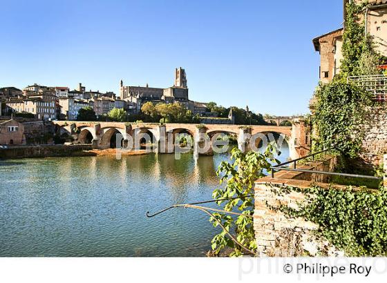 PONT VIEUX  SUR LE TARN , LA CATHEDRALE ET LA VILLE D'  ALBI, TARN. (81F03219.jpg)