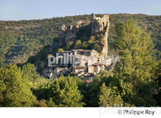 LE CHATEAU MEDIEVAL ET LE VILLAGE FORTIFIE DE PENNE, VALLEE DE L' AVEYRON, TARN. (81F03635.jpg)