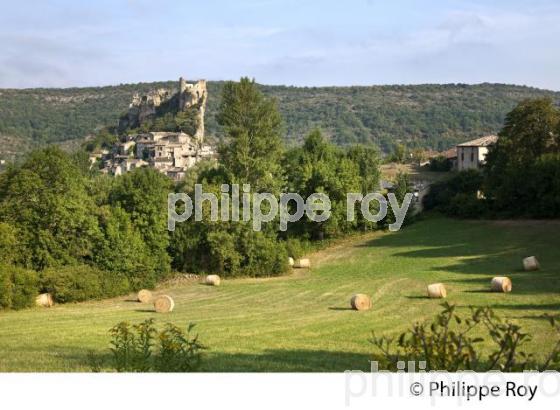 LE CHATEAU MEDIEVAL ET LE VILLAGE FORTIFIE DE PENNE, VALLEE DE L' AVEYRON, TARN. (81F03636.jpg)