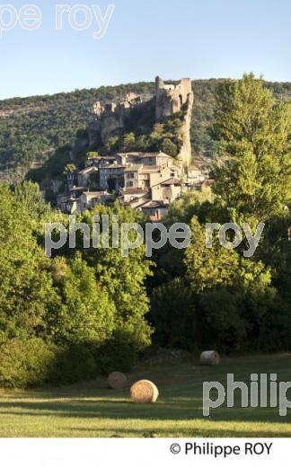 LE CHATEAU MEDIEVAL ET LE VILLAGE FORTIFIE DE PENNE, VALLEE DE L' AVEYRON, TARN. (81F03638.jpg)