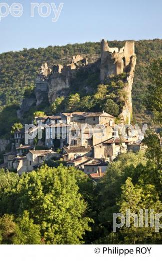 LE CHATEAU MEDIEVAL ET LE VILLAGE FORTIFIE DE PENNE, VALLEE DE L' AVEYRON, TARN. (81F03640.jpg)