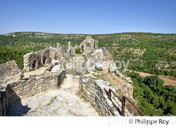 LE CHATEAU MEDIEVAL DU VILLAGE FORTIFIE DE PENNE, VALLEE DE L' AVEYRON, TARN. (81F03708.jpg)