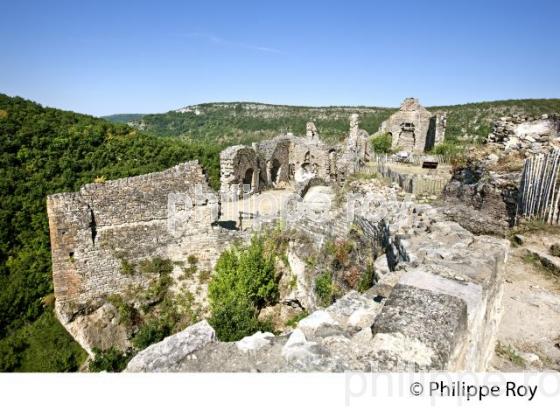 LE CHATEAU MEDIEVAL DU VILLAGE FORTIFIE DE PENNE, VALLEE DE L' AVEYRON, TARN. (81F03709.jpg)