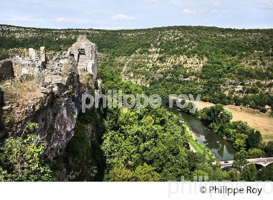 LE CHATEAU MEDIEVAL ET LE VILLAGE FORTIFIE DE PENNE, VALLEE DE L' AVEYRON, TARN. (81F03714.jpg)