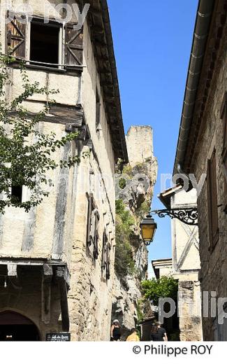 LE CHATEAU MEDIEVAL ET LE VILLAGE FORTIFIE DE PENNE, VALLEE DE L' AVEYRON, TARN. (81F03723.jpg)