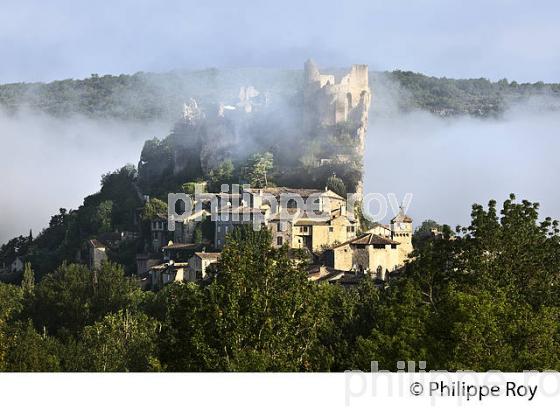 LE CHATEAU MEDIEVAL ET LE VILLAGE FORTIFIE DE PENNE, VALLEE DE L' AVEYRON, TARN. (81F03725.jpg)