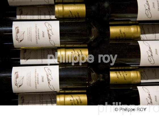 Vin de Gaillac - Tarn (81V00235.jpg)