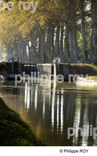 La Garonne - Tarn et Garonne (82F00337.jpg)