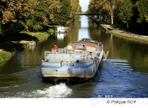 Le canal du midi (82F01107.jpg)