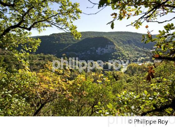 VILLAGE FORTIFIE DE BRUNIQUEL, VALLEE DE L' AVEYRON, TARN-ET-GARONNE. (82F01124.jpg)