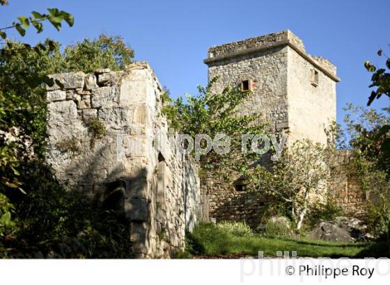 CHATEAU DU VILLAGE FORTIFIE DE BRUNIQUEL, VALLEE DE L' AVEYRON, TARN-ET-GARONNE. (82F01208.jpg)