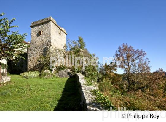 CHATEAU DU VILLAGE FORTIFIE DE BRUNIQUEL, VALLEE DE L' AVEYRON, TARN-ET-GARONNE. (82F01209.jpg)