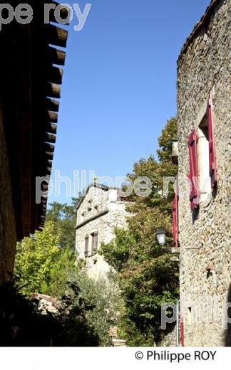 VILLAGE FORTIFIE DE BRUNIQUEL, VALLEE DE L' AVEYRON, TARN-ET-GARONNE. (82F01216.jpg)