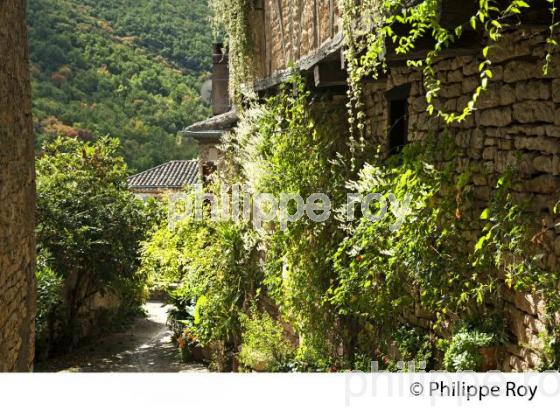 VILLAGE FORTIFIE DE BRUNIQUEL, VALLEE DE L' AVEYRON, TARN-ET-GARONNE. (82F01221.jpg)