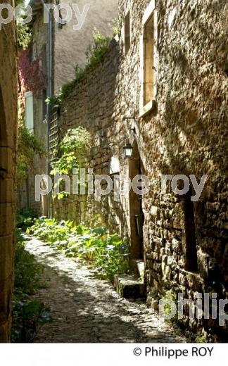 VILLAGE FORTIFIE DE BRUNIQUEL, VALLEE DE L' AVEYRON, TARN-ET-GARONNE. (82F01227.jpg)