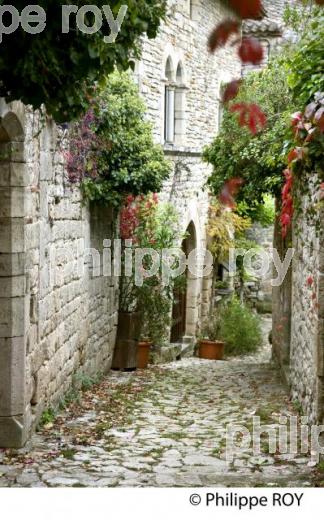 VILLAGE FORTIFIE DE BRUNIQUEL, VALLEE DE L' AVEYRON, TARN-ET-GARONNE. (82F01230.jpg)