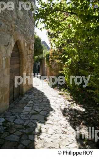 VILLAGE FORTIFIE DE BRUNIQUEL, VALLEE DE L' AVEYRON, TARN-ET-GARONNE. (82F01231.jpg)