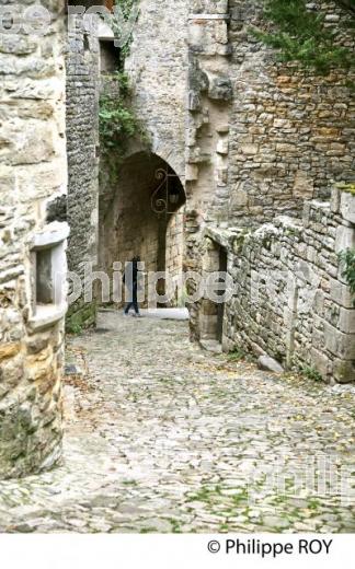 VILLAGE FORTIFIE DE BRUNIQUEL, VALLEE DE L' AVEYRON, TARN-ET-GARONNE. (82F01239.jpg)