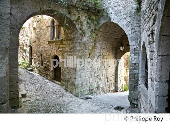 VILLAGE FORTIFIE DE BRUNIQUEL, VALLEE DE L' AVEYRON, TARN-ET-GARONNE. (82F01240.jpg)