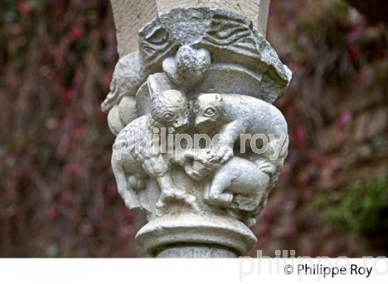 VILLAGE FORTIFIE DE BRUNIQUEL, VALLEE DE L' AVEYRON, TARN-ET-GARONNE. (82F01314.jpg)