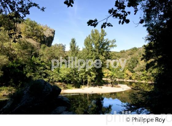 GORGES  DE L' AVEYRON, SAINT-ANTONIN-NOBLE-VAL, TARN ET GARONNE. (82F01332.jpg)