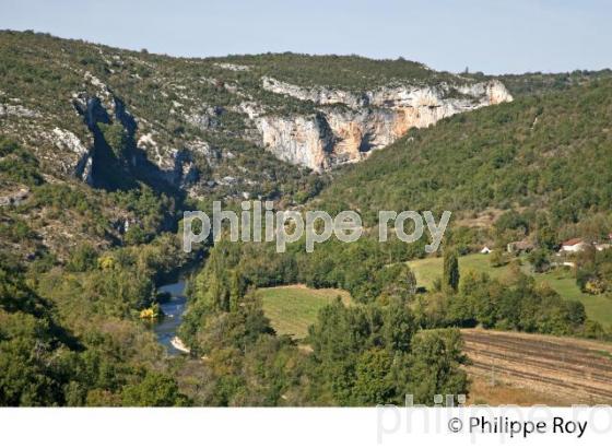 GORGES  DE L' AVEYRON, SAINT-ANTONIN-NOBLE-VAL, TARN ET GARONNE. (82F01339.jpg)