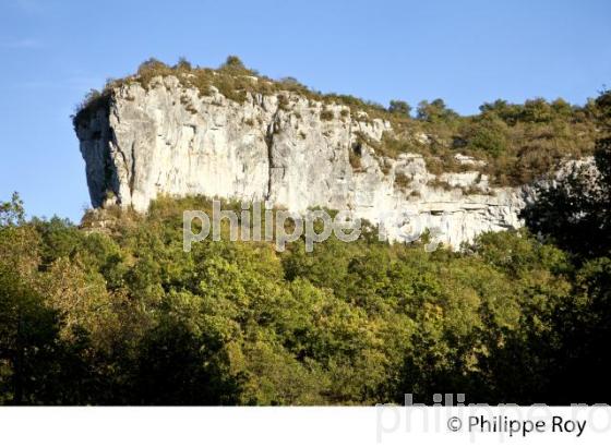 GORGES  DE L' AVEYRON, SAINT-ANTONIN-NOBLE-VAL, TARN ET GARONNE. (82F01402.jpg)