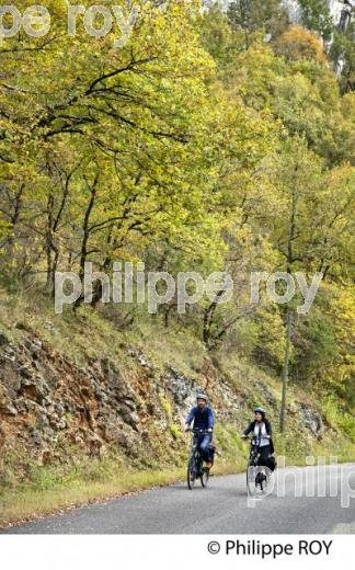 CYCLISTE,  GORGES  DE L' AVEYRON, SAINT-ANTONIN-NOBLE-VAL, TARN ET GARONNE. (82F01419.jpg)
