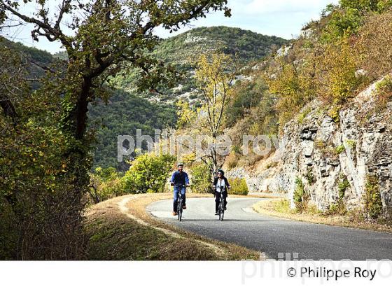 CYCLISTE,  GORGES  DE L' AVEYRON, SAINT-ANTONIN-NOBLE-VAL, TARN ET GARONNE. (82F01423.jpg)