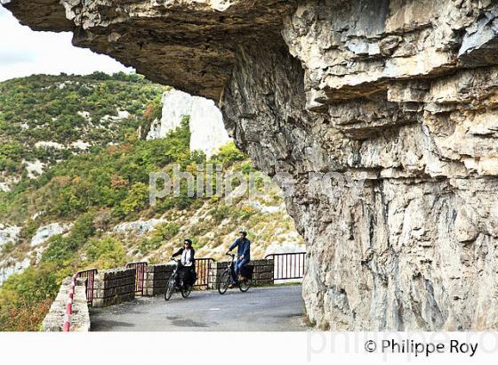 CYCLISTE,  GORGES  DE L' AVEYRON, SAINT-ANTONIN-NOBLE-VAL, TARN ET GARONNE. (82F01428.jpg)