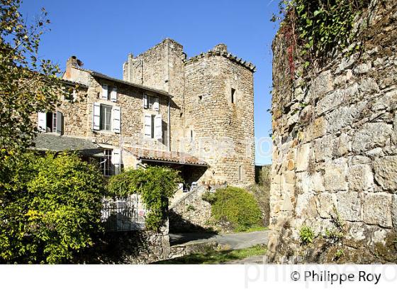 CHATEAU FORT DU  VILLAGE DE SAINT-MARTIN-DE-LAGUEPIE, VALLEE DU VIAUR,  TARN . (82F01502.jpg)