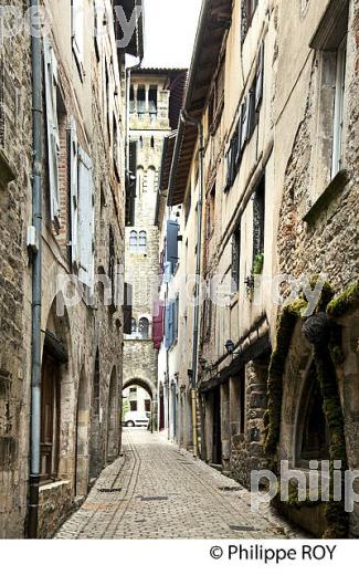 SAINT-ANTONIN-NOBLE-VAL, GORGES  DE L' AVEYRON,TARN ET GARONNE. (82F01701.jpg)