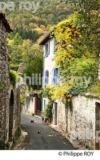SAINT-ANTONIN-NOBLE-VAL, GORGES  DE L' AVEYRON,TARN ET GARONNE. (82F01721.jpg)