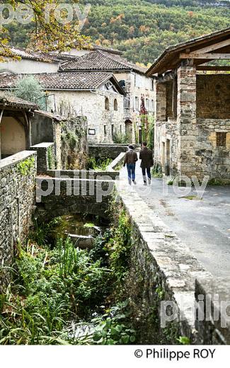 SAINT-ANTONIN-NOBLE-VAL, GORGES  DE L' AVEYRON,TARN ET GARONNE. (82F01728.jpg)